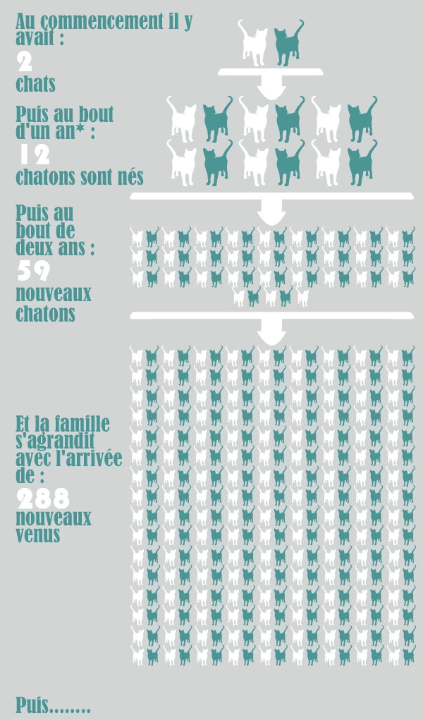 population chats